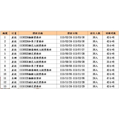 113計畫.JPG